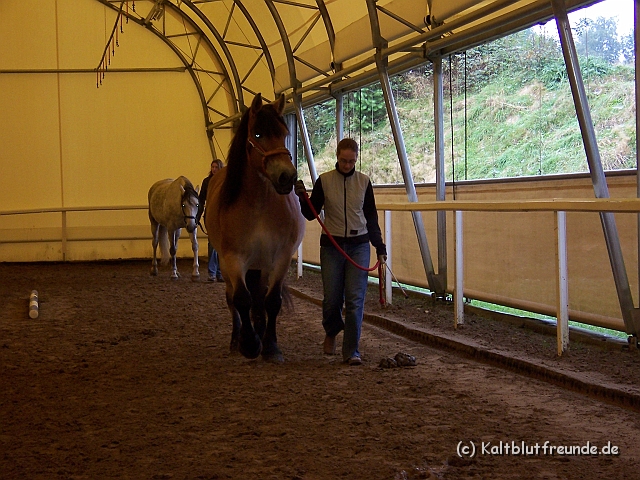 Bild 034.jpg